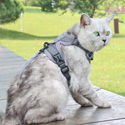 Fashion Reflective Cat Harness And Leash Sets