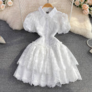 Women Vintage Lace Collar Gown Dress Turn Down
