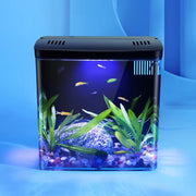 Mini Fish Tank