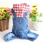 Vestiti per cuccioli Teddy Cowboy Vestiti à quattru zampe