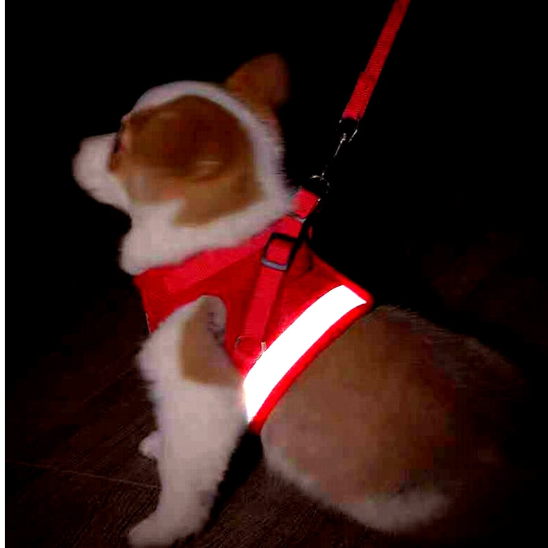 Koira Noxgear Dog Non-stop Dogwear Wool Dog Jacket –