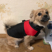 Barbour Dog Coat Winter Warm Dog Clothes Waterproof Pet