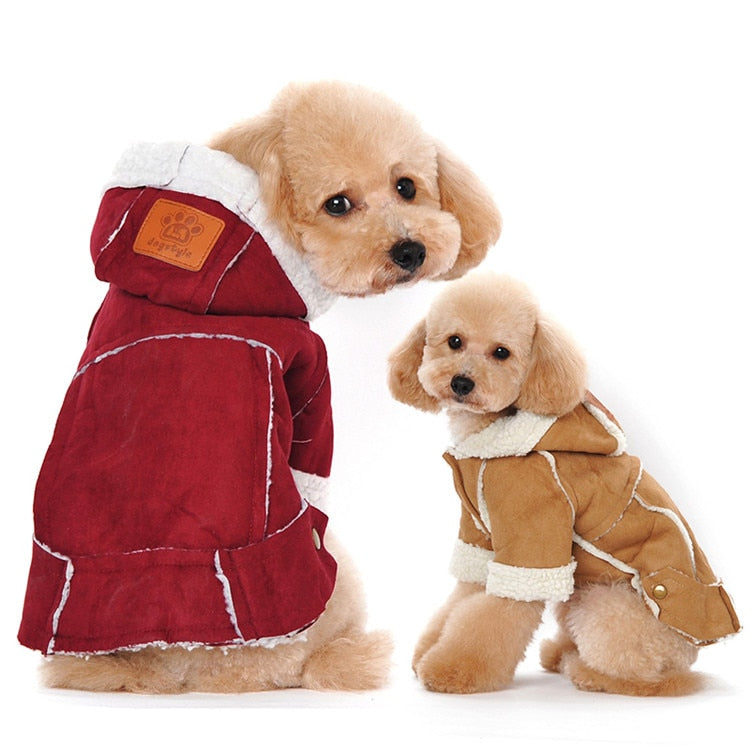  THYMOL Clothes for Pets Dog Clothes Winter Warm Pet Dog Jacket  Coat Puppy Clothing Hoodies for Small Medium Dogs Puppy Yorkshire Outfit Pet  Gift-M (Size : Medium) : Pet Supplies