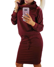 Long Sleeve Turtleneck Solid Sweatshirt Pure Color Bodycon Women Midi Dress